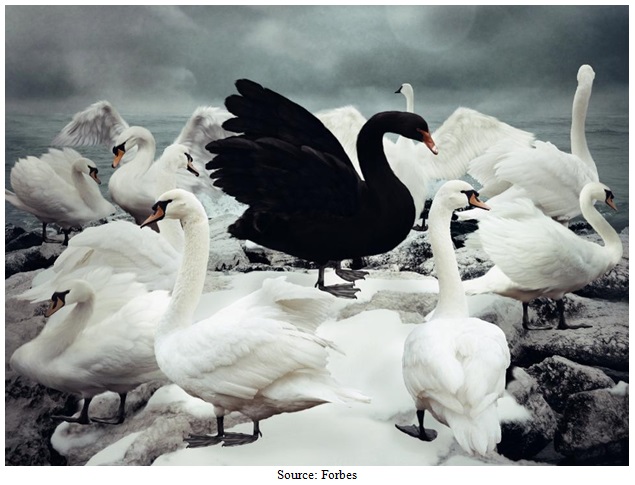 Black Swan Image