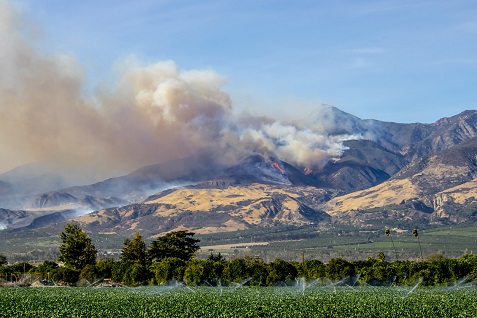 California Fires Image