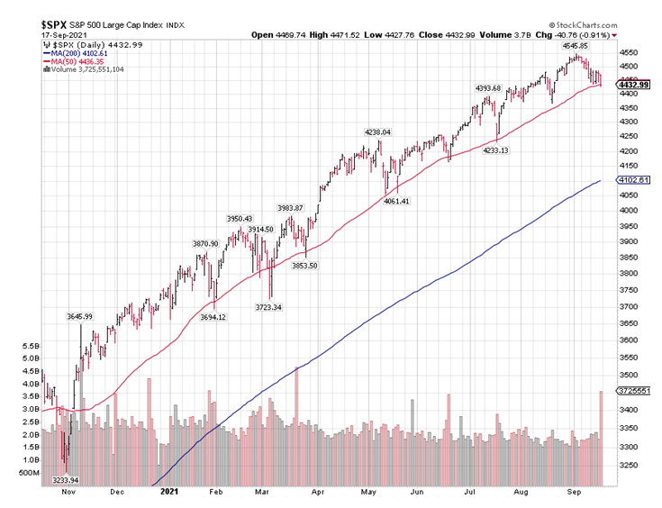 S&P 500 Large Cap Index Stock