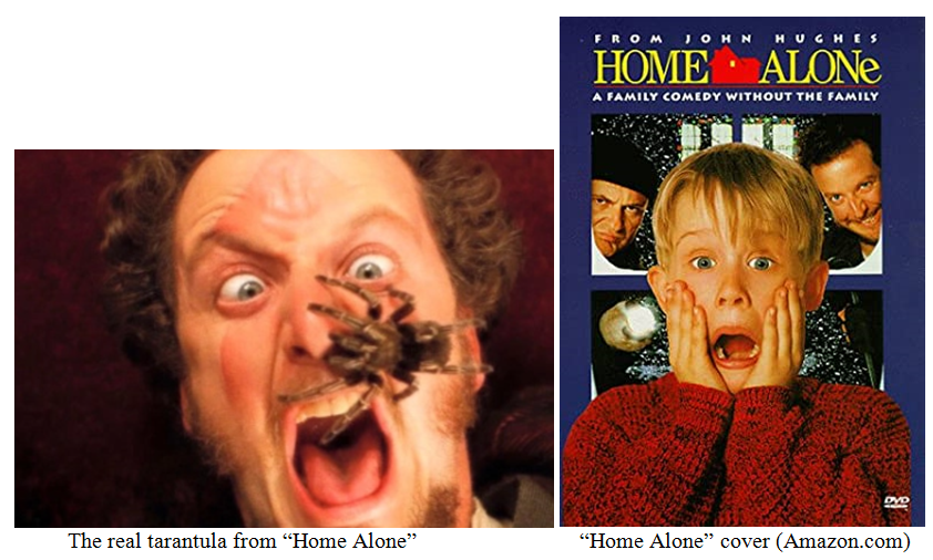 Home Alone Movie Pix