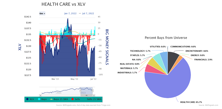 Health Care vs XLV PIE Chart
