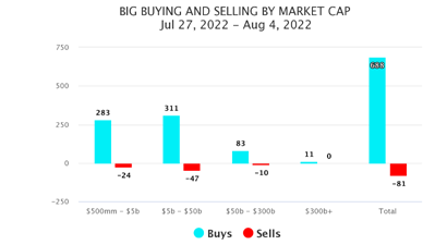 Big Buying-Selling by Mkt Cap Chart