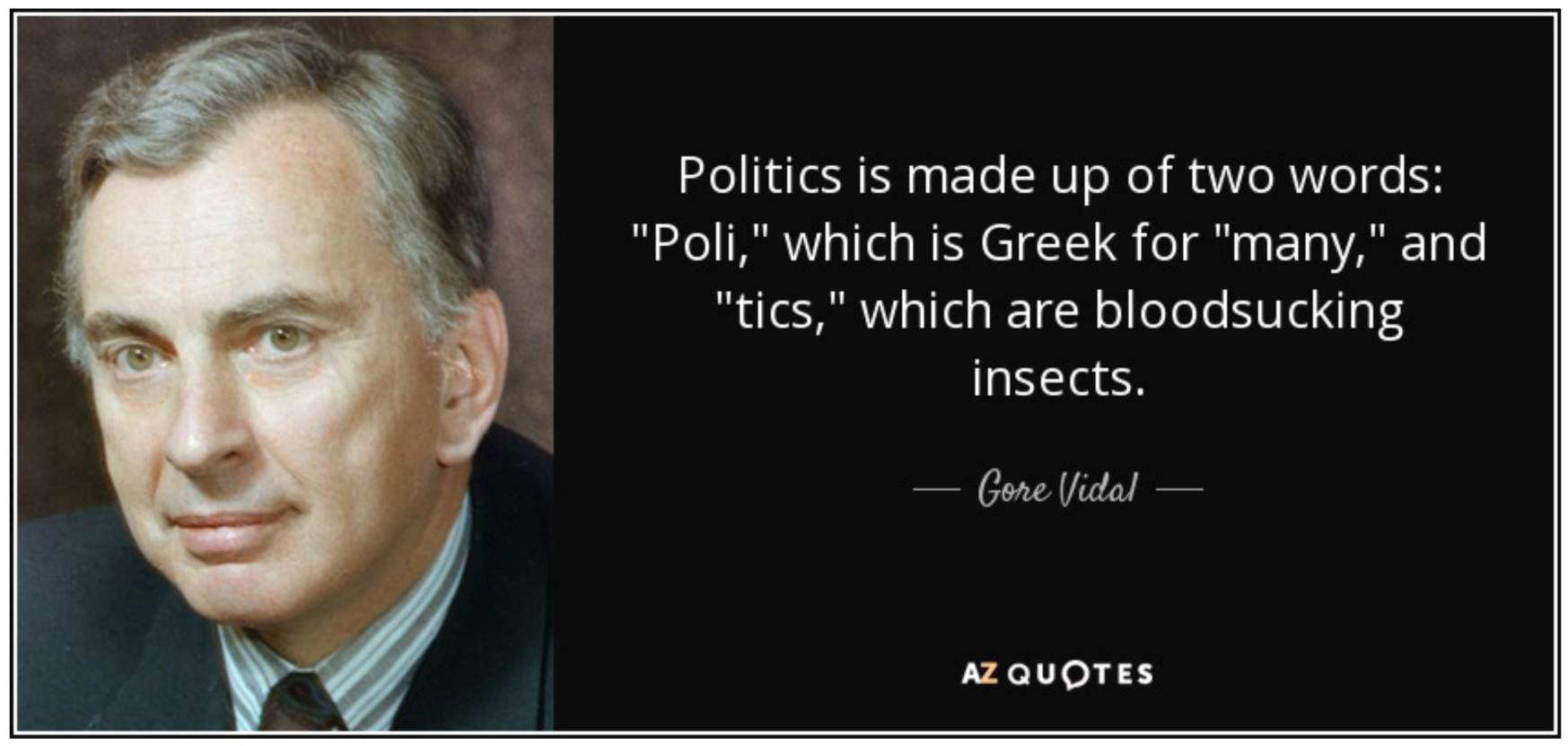 Gore Vidal Quote Image