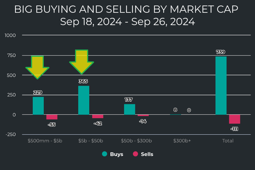 Big Money Buying-Selling Market Cap