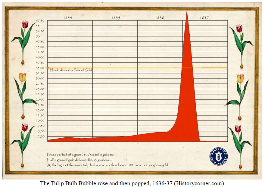 Tulip Bubble Chart