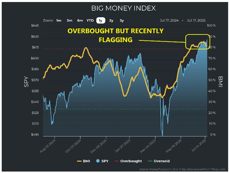 Big Money Index Chart