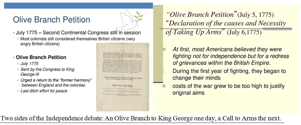 Olive Branch Petitiion 1