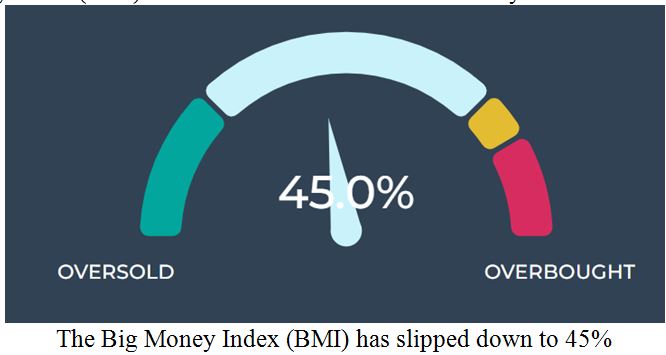 BMI Barometer