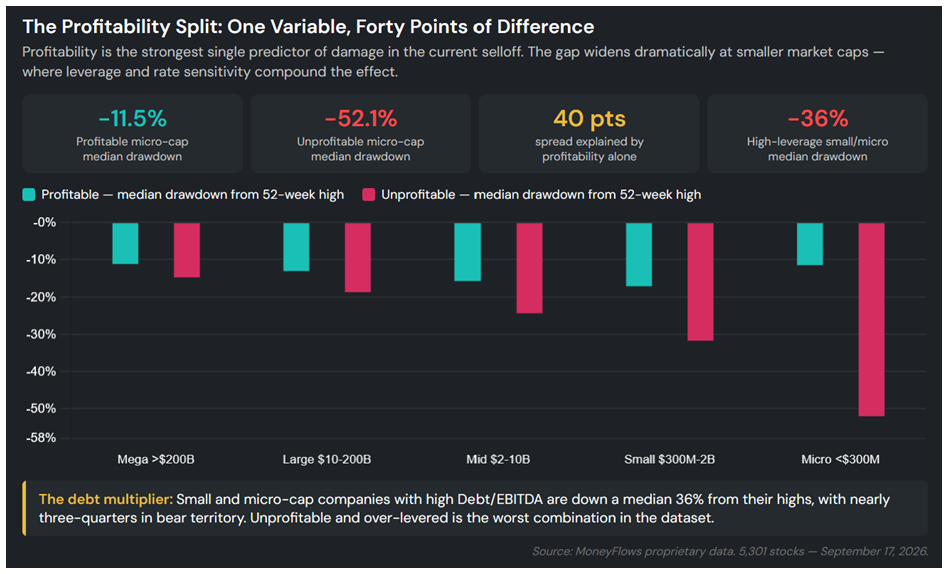 Profitability Chart